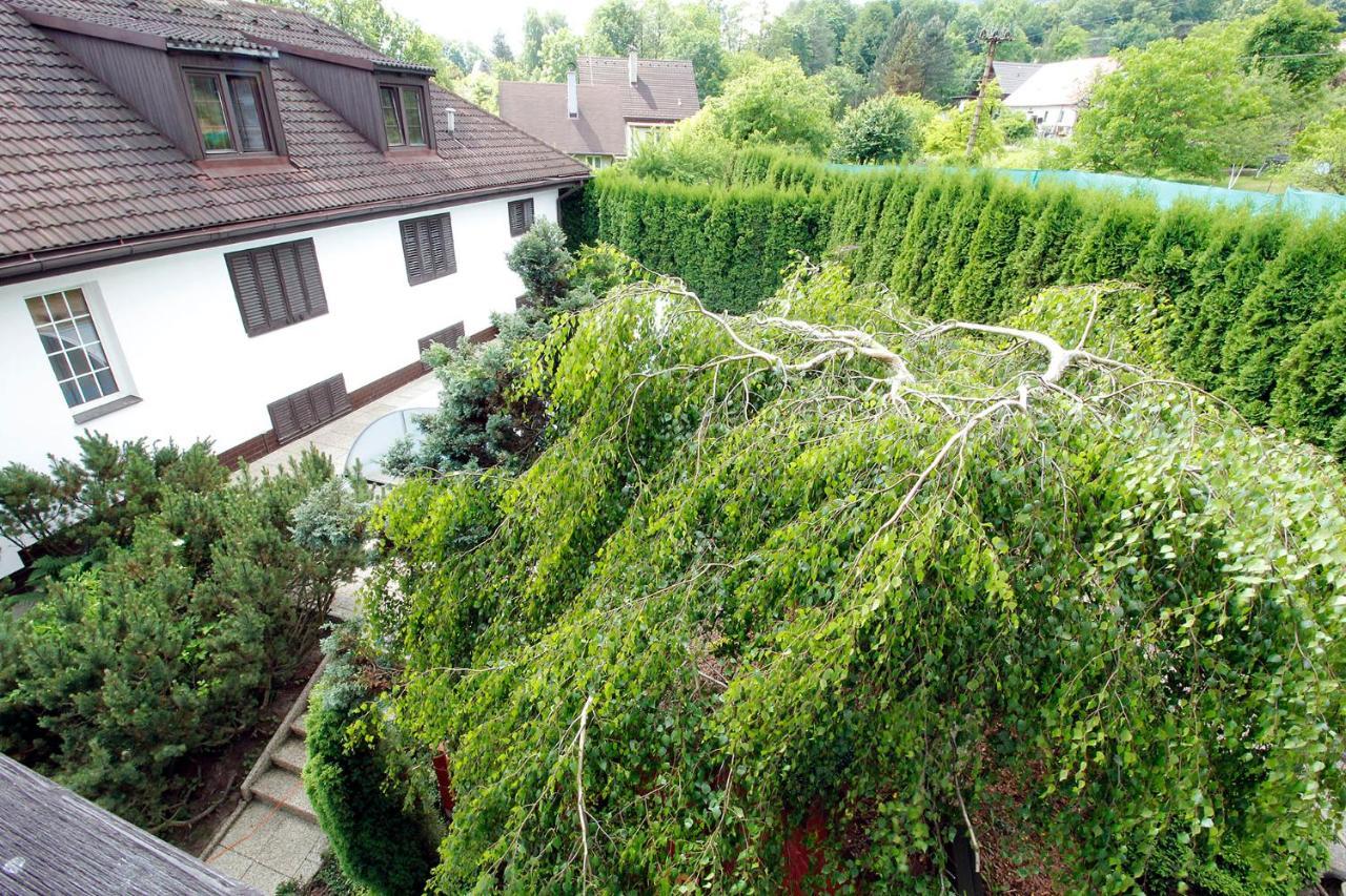 Villa Vily Jedlici Frýdlant nad Ostravicí Exterior foto